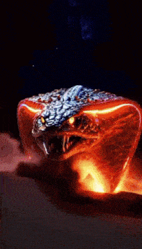 a snake with glowing eyes is laying on the ground