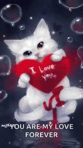 You Are My Love Forever Kitten GIF