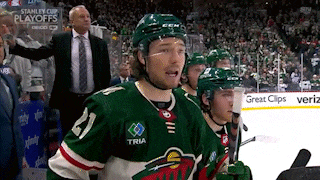 a hockey player wearing a green jersey with the number 27 on it stands in front of a crowd .