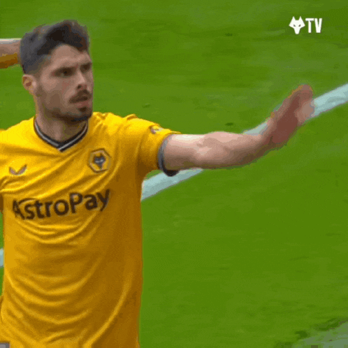 Wolves Wolverhampton Wanderers GIF - Wolves Wolverhampton Wanderers Wwfc GIFs