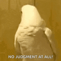 a white parrot is standing in front of a wooden wall with the words `` no judgment at all '' written below it .