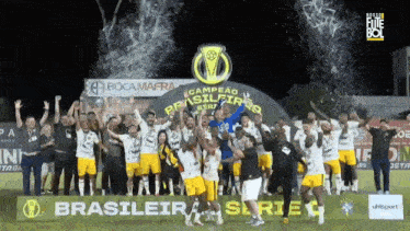 a group of soccer players are posing for a photo in front of a sign that says brasileira serie
