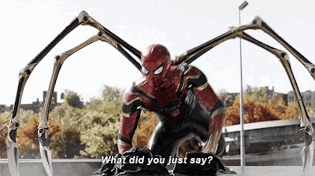 Spider Man What Did You Just Say GIF - Spider Man What Did You Just Say What Did You Say GIFs