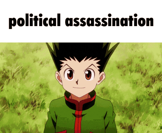 a picture of gon from hunter x hunter with the words " political assassination " below him