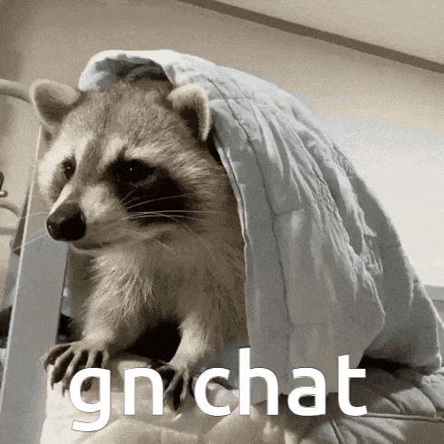 a raccoon sitting under a blanket with the word gnchat written on the bottom