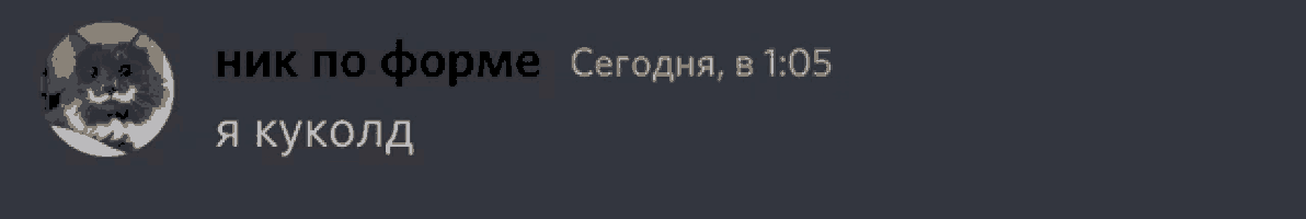 a gray background with a picture of a cat and the words " nik po forme сегодня в 1:05 "