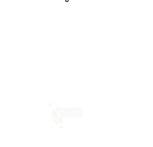 a lesbian flag with orange , white , and pink stripes on a white background .