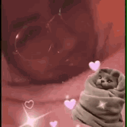 a woman is wrapped in a blanket with a cat wrapped in a blanket .