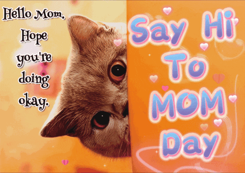 a cat peeking over a sign that says " say hi to mom day "