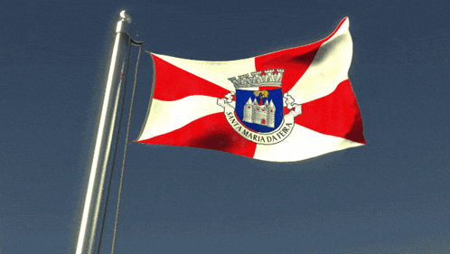 a red white and blue flag with a coat of arms that says " cidade de salvador "