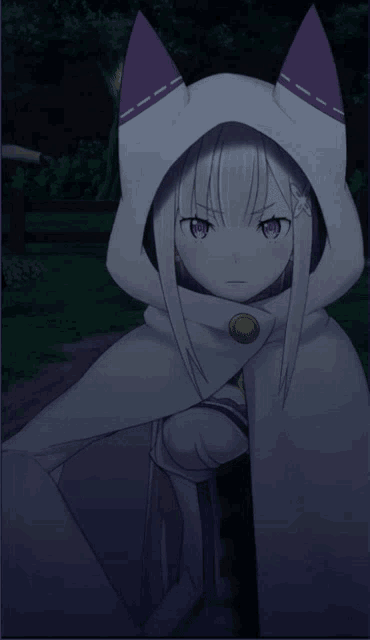 a girl with white hair and purple eyes is wearing a hooded cape