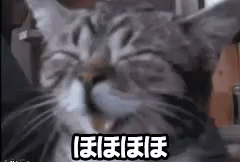ほほほほ GIF - Cat Cute Happy GIFs