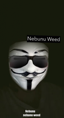 Nebunu Weed GIF - Nebunu Weed GIFs