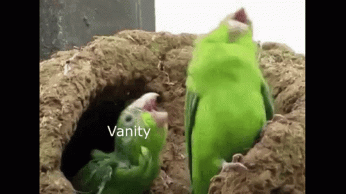 Vanity Vanitycheats GIF - Vanity Vanitycheats GIFs