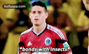 *bonds With Insects.Gif GIF - *bonds With Insects Clothing Apparel GIFs