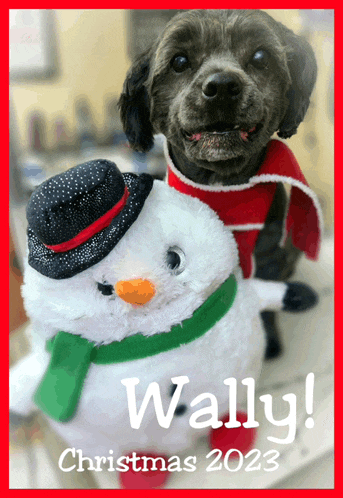 a picture of a dog and a stuffed snowman with wally christmas 2023 written on the bottom