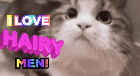 a picture of a cat with the words i love hairy men above it