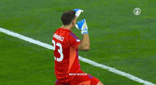 a soccer player with the number 23 on his shirt