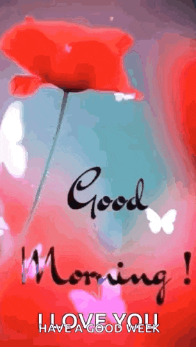 a good morning message with a red flower and butterflies
