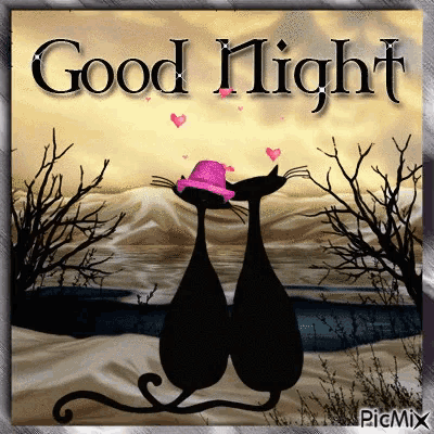a couple of black cats sitting next to each other with the words good night written on the bottom