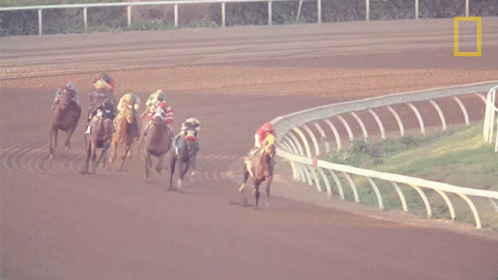 Horse Racing Survival Of The Friendliest GIF - Horse Racing Survival Of The Friendliest Race GIFs