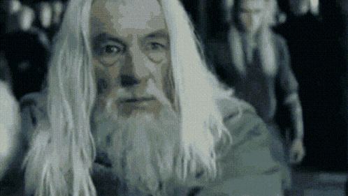 an old man with long white hair and a beard