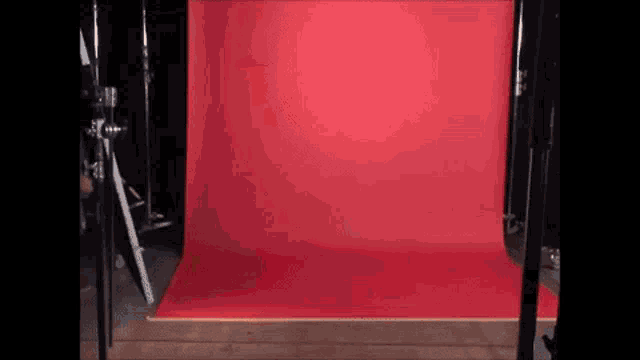 a person is standing in front of a red background in a photo studio .