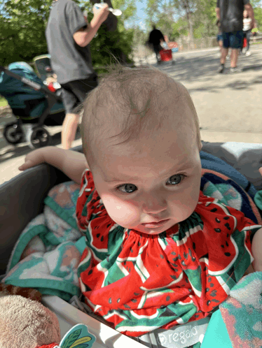 a baby wearing a watermelon dress is in a cart