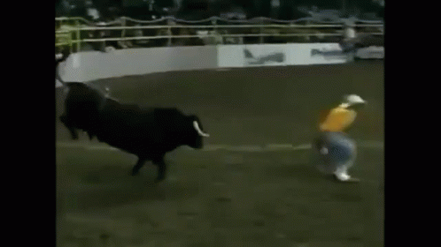 Bull Clown GIF - Bull Fight Flip GIFs