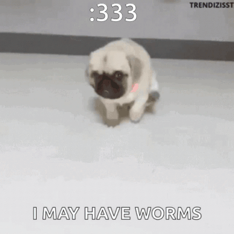 Worms May GIF - Worms May GIFs
