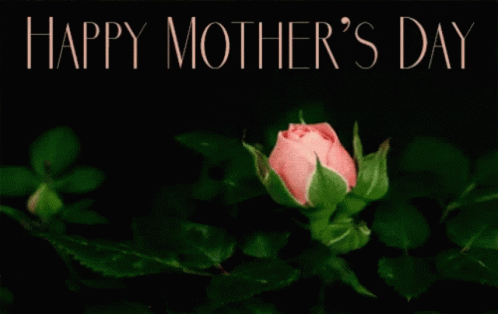 Happy Mothers Day Greetings GIF - Happy Mothers Day Greetings Flower GIFs