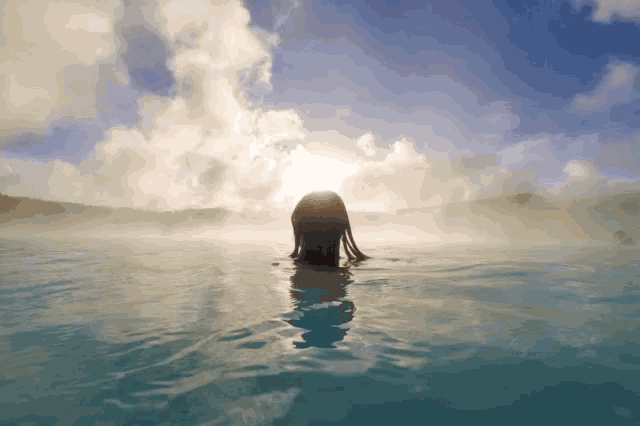 a person swimming in a body of water with the sun behind them