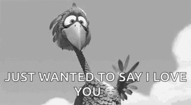 a black and white photo of a cartoon turkey saying `` i just wanted to say i love you '' .
