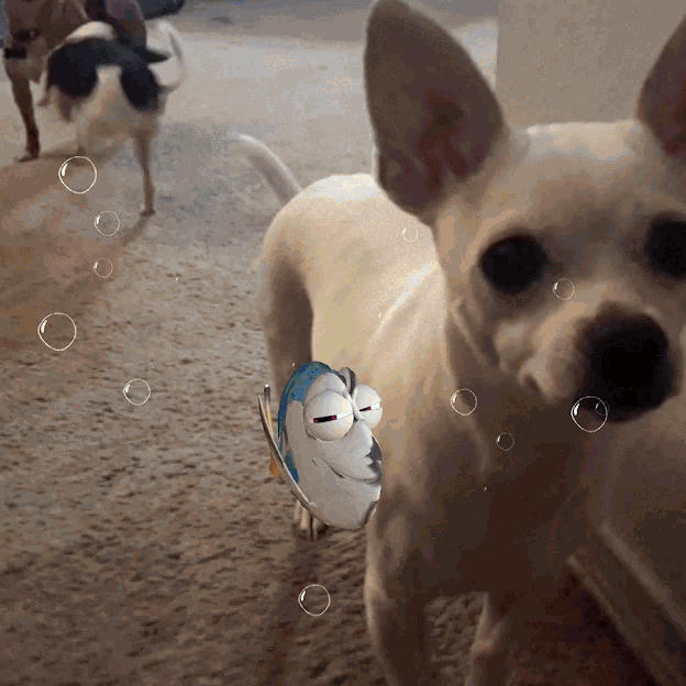 a dog with bubbles around it and a fish with big eyes