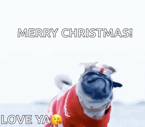 Christmas Pug Reindeer GIF - Christmas Pug Reindeer Funny Animals GIFs