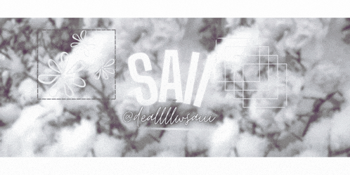 a black and white photo of a tree with the words save written in white