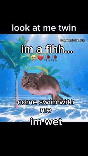 a meme of a cat swimming in the ocean with the caption look at me twin im a fihh come swim with me im wet