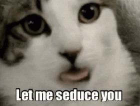 Let Me Seduce You Cat GIF - Let Me Seduce You Cat Tongue GIFs