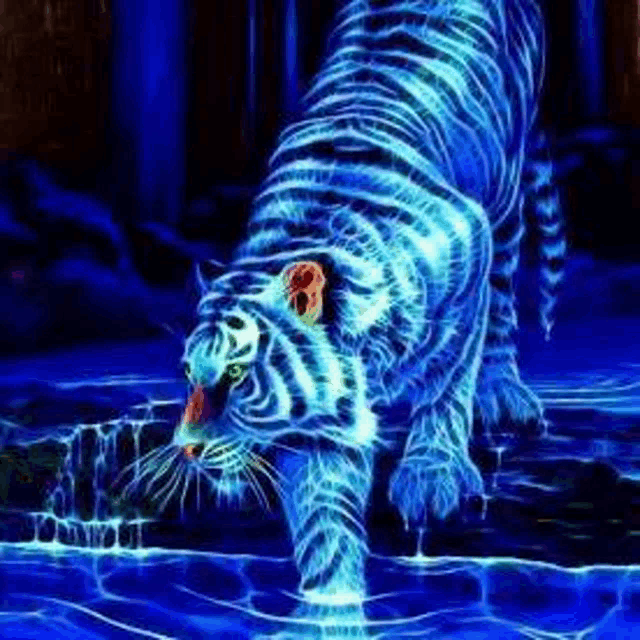 a glow in the dark tiger is drinking water