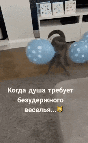 a cat playing with balloons in a living room