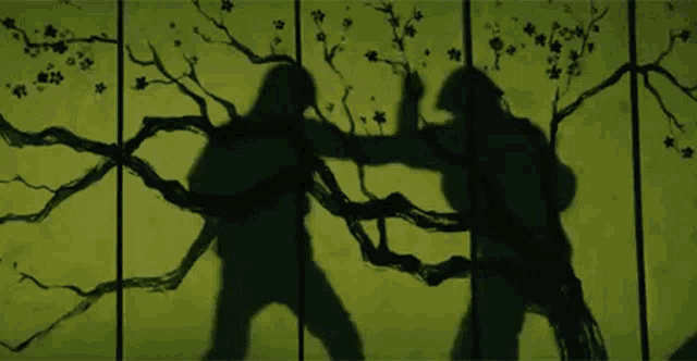 a shadow of two people standing next to each other on a wall