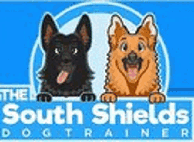 the logo for the south shields dog trainer shows two dogs standing next to each other on a blue background .