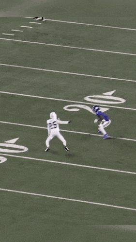a football game is being played on a field with the number 6 on the sideline