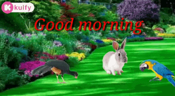 a peacock , rabbit , and parrot are standing in a garden with the words good morning written on the bottom
