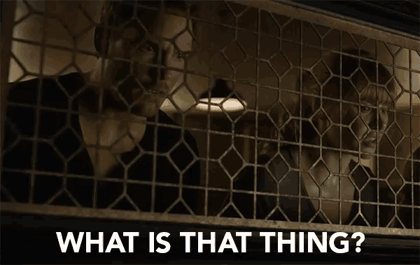 a man and a woman are behind a fence and the words what is that thing are above them