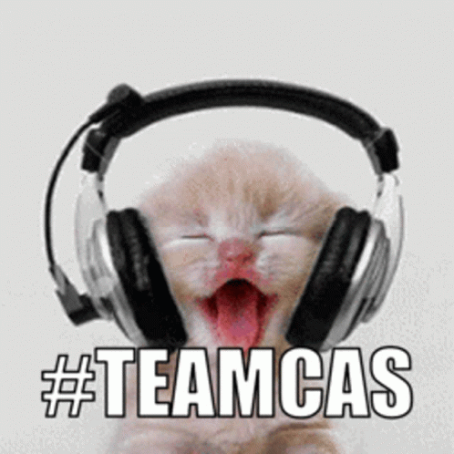 Teamcas Cat GIF - Teamcas Cat Headphones GIFs
