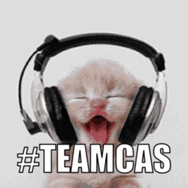 a kitten wearing headphones with the hashtag #teamcas on the bottom