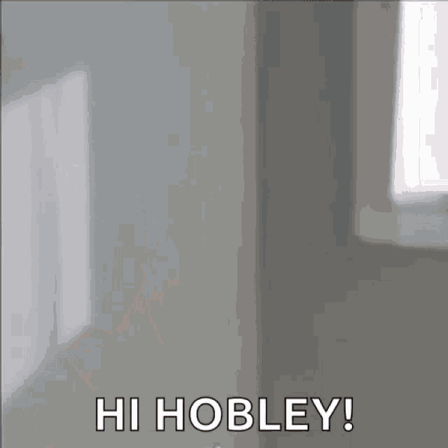 a woman is looking at herself in a mirror and saying `` hi hobley '' .