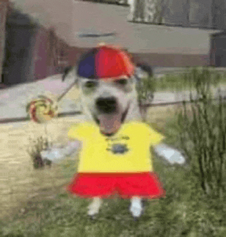a dog wearing a yellow shirt and a red skirt is holding a lollipop .