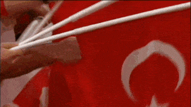 a close up of a person holding a flag